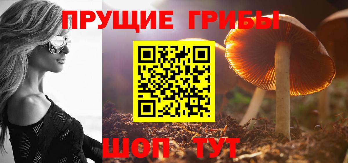 Галлюциногенные грибы GOLDEN TEACHER Междуреченск