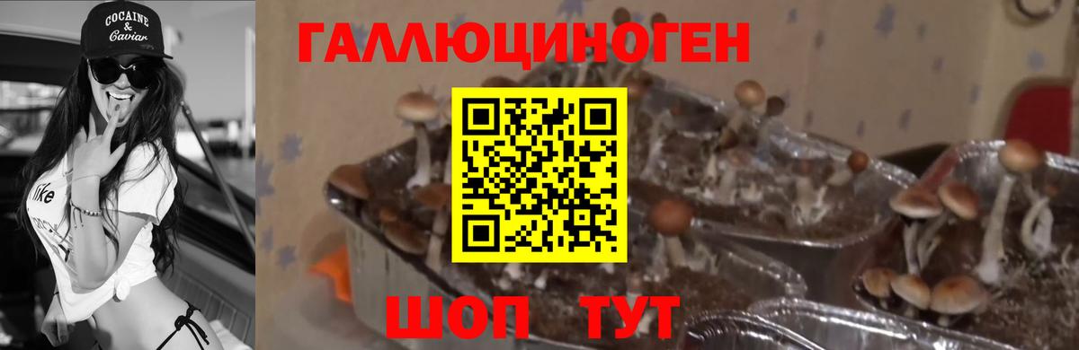 Галлюциногенные грибы мухоморы  Вход с VPN  Междуреченск  Псилоцибиновые грибы Magic Shrooms 
